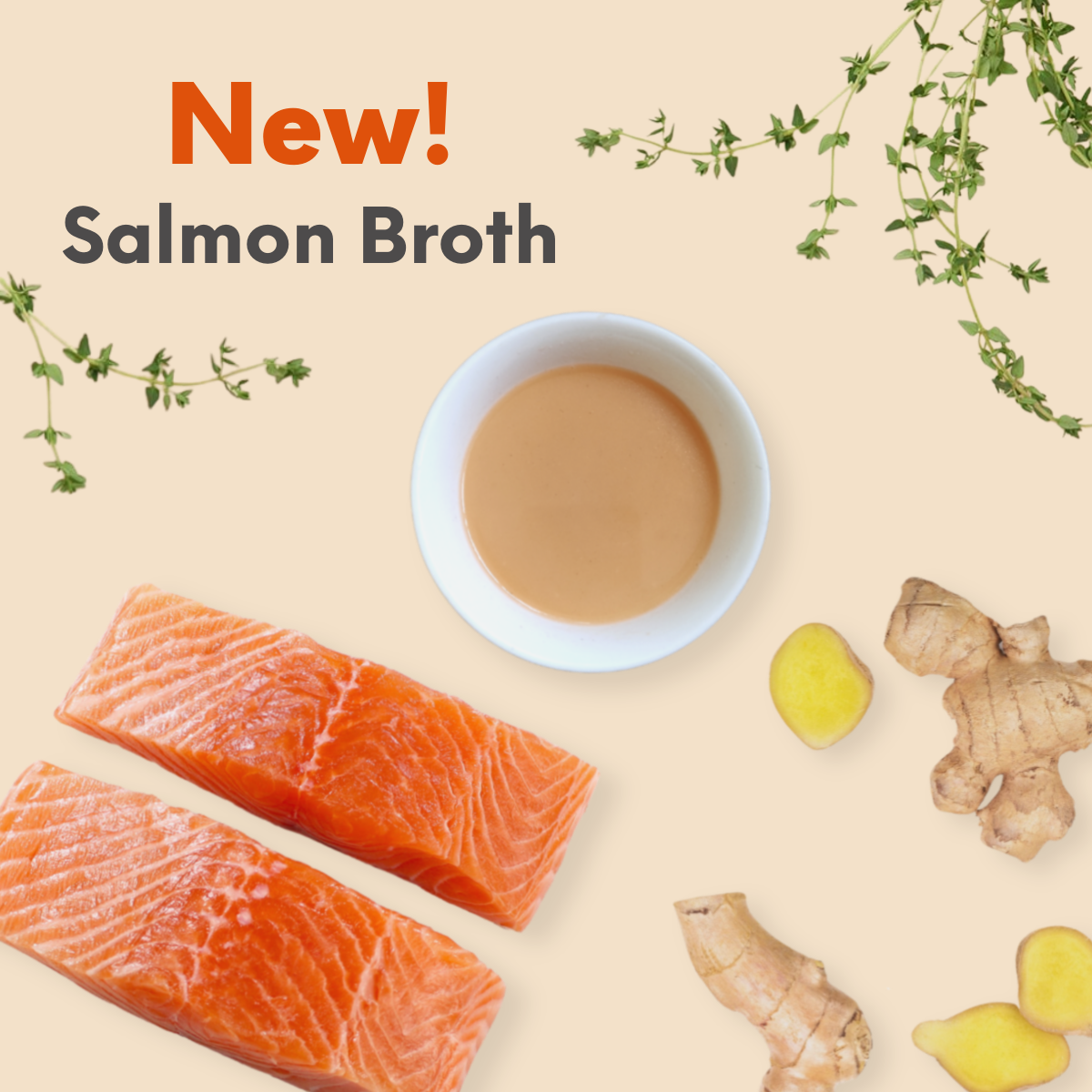 *Limited edition* Salmon Broth